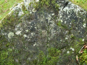 Carved stone near Rhaeadr du, 15 July 09.