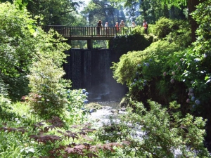 The bridge over the waterfall. 11 Aug 09