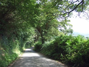 The lane up from the valley. Aug 2009