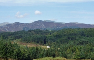 The view across the forest towards Llyn Crafnant, 22 Aug 09.