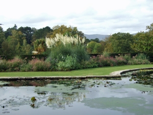 Autumn around the lily pond, 7 October 2009
